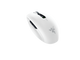 14163636-TOP