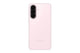 14133349-BACK
