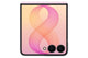 14162271-BACK