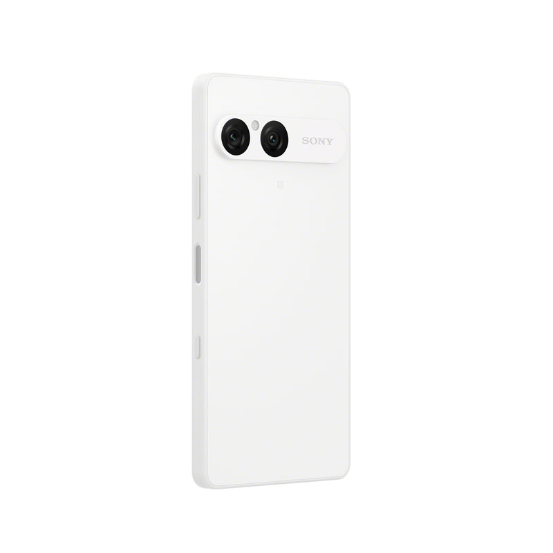 13986542-BACK