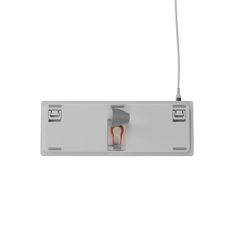 13898876-BACK