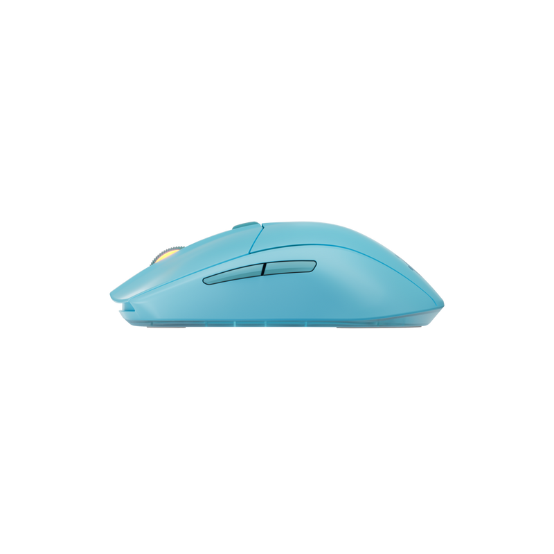 13942873-SIDE