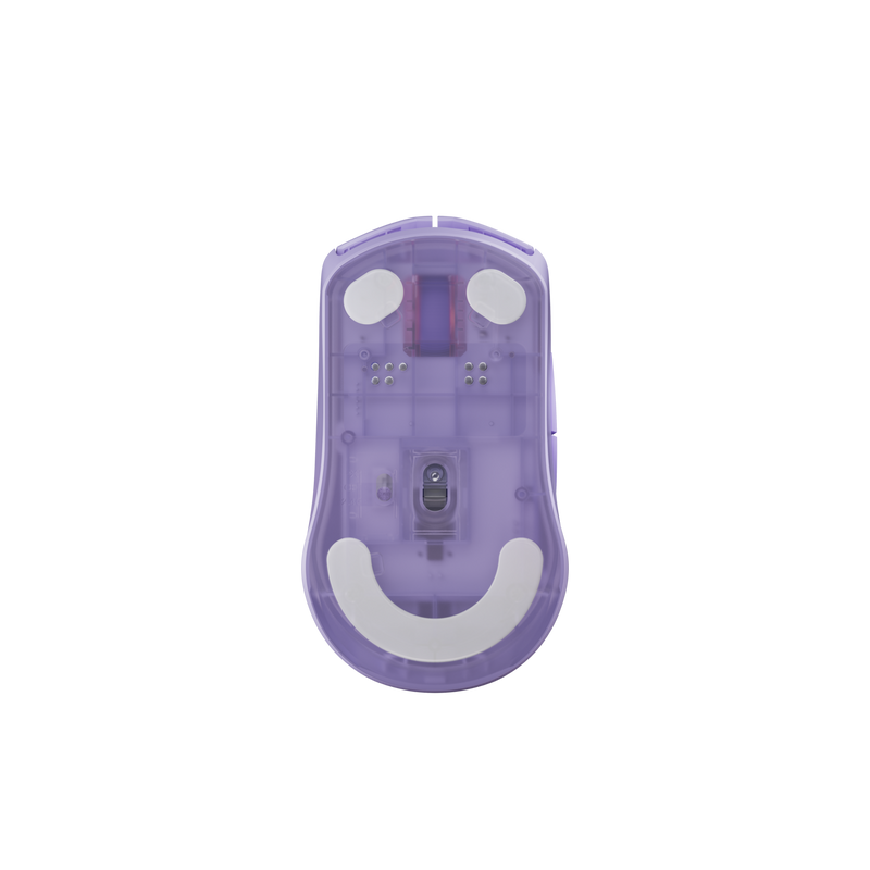 13943690-BACK