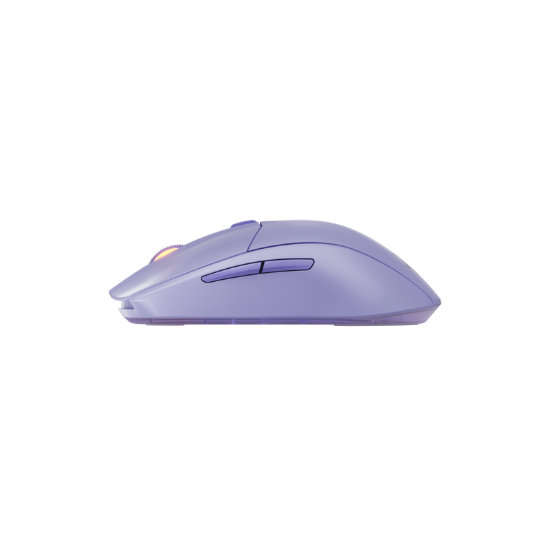 13943690-SIDE