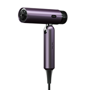Stryv ProTraveller 2.0 Hair Dryer