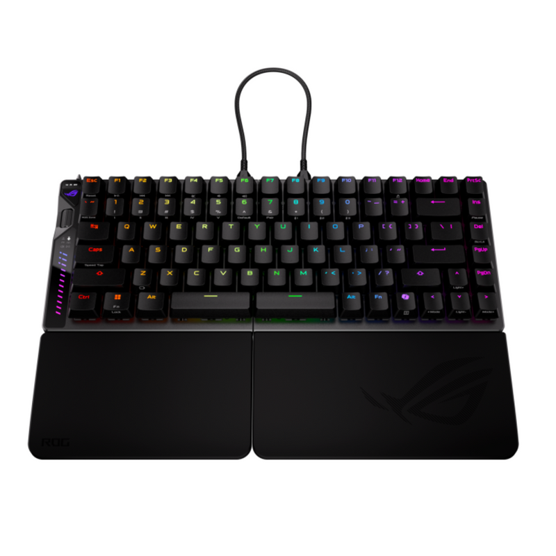 13974744-BACK
