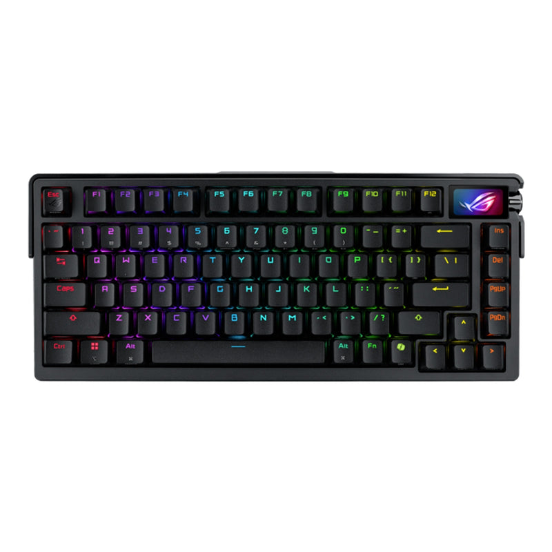 13919892-BACK