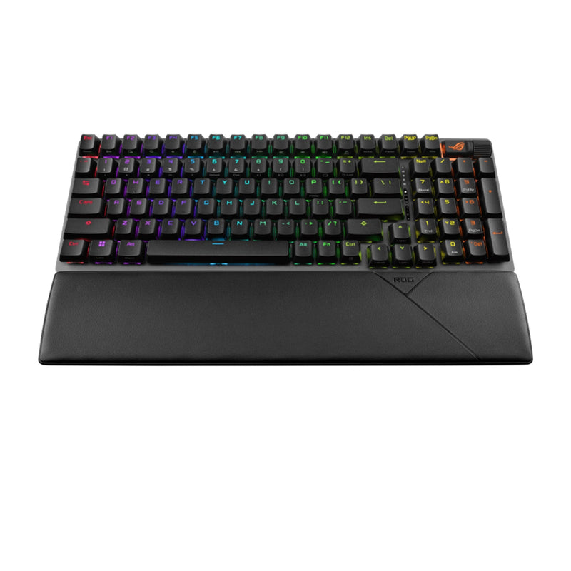 13916376-BACK