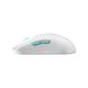 14179988-SIDE