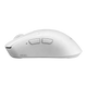 14206421-SIDE