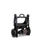 14148874-BACK