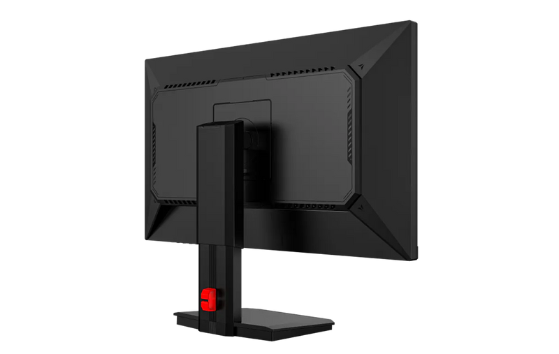 13895851-BACK