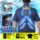 14163290-BACK