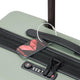 13528744-BACK