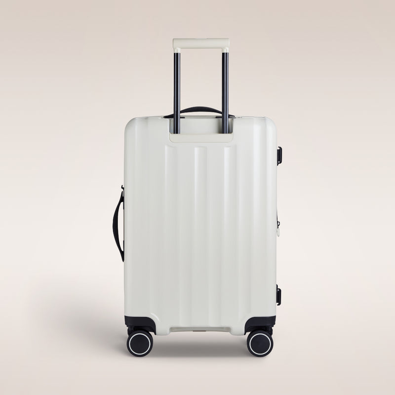 13139351-BACK