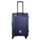 12966241-BACK