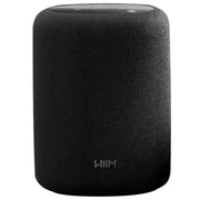 WiiM Sound Lite Smart Speaker