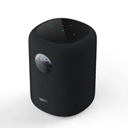 WiiM Sound Smart Speaker(Black)