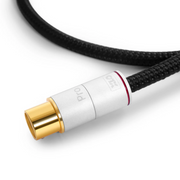 OTHERS P35 XLR Balance Cable 1.5m