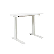 Zenox 人體工學辦公枱 Lite (固定高度, 80cm)