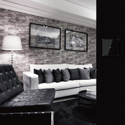 LifeSmart Moonstone Smart Switch 墨玉開關 (1位智能開關)