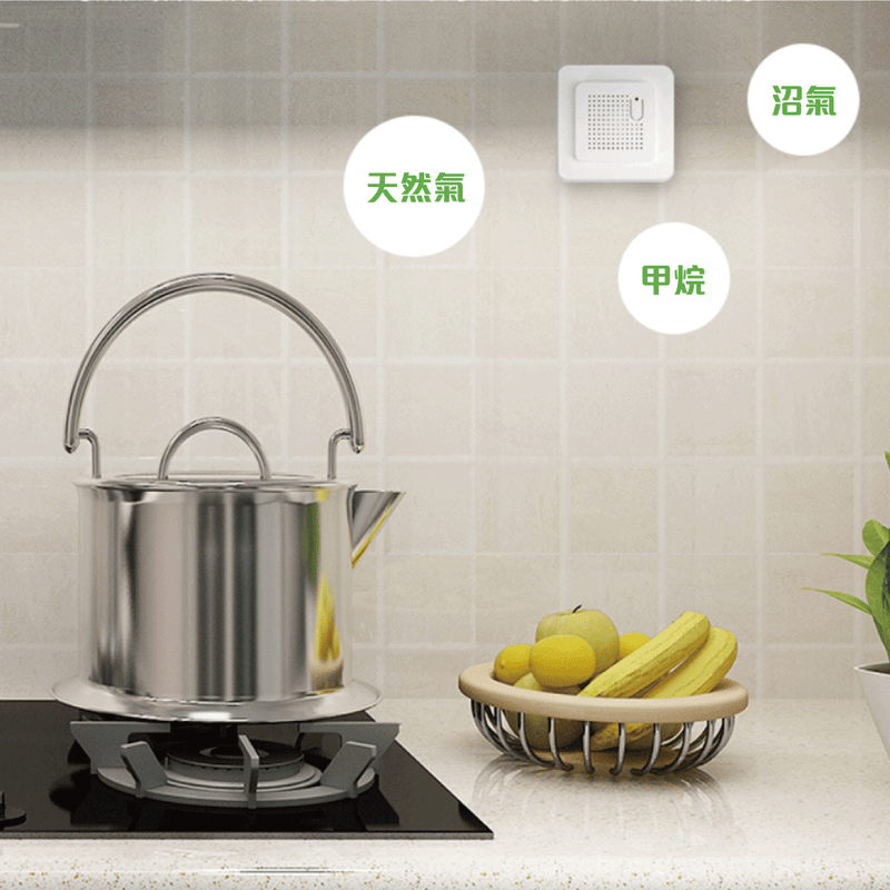 LifeSmart Gas Sensor 可燃氣體偵測器