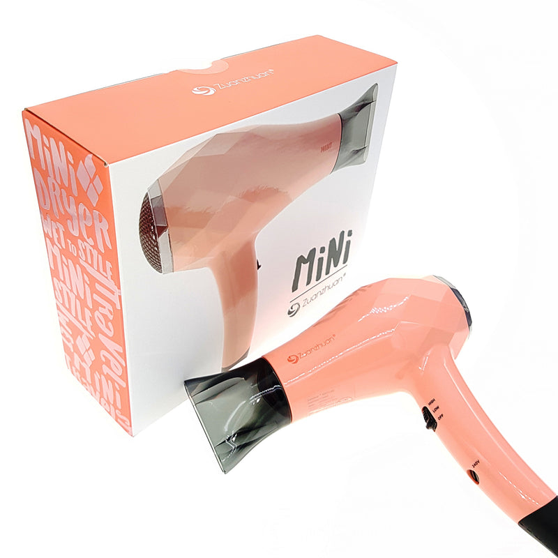 Zuanzhuan ZZHDM Hair Dryer