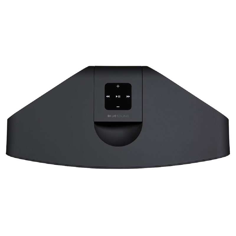 Bluesound Pulse 2i Wireless Speaker