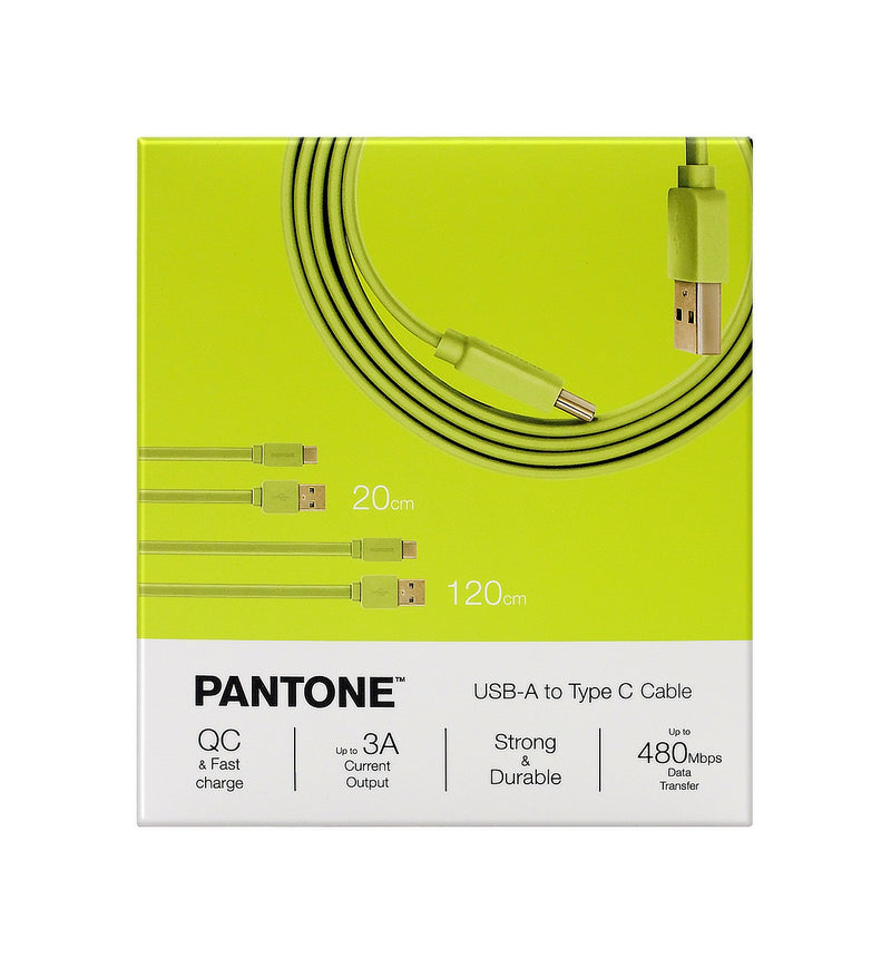 Pantone 20cm + 120cm Gold platted Typc C to Type A 接線