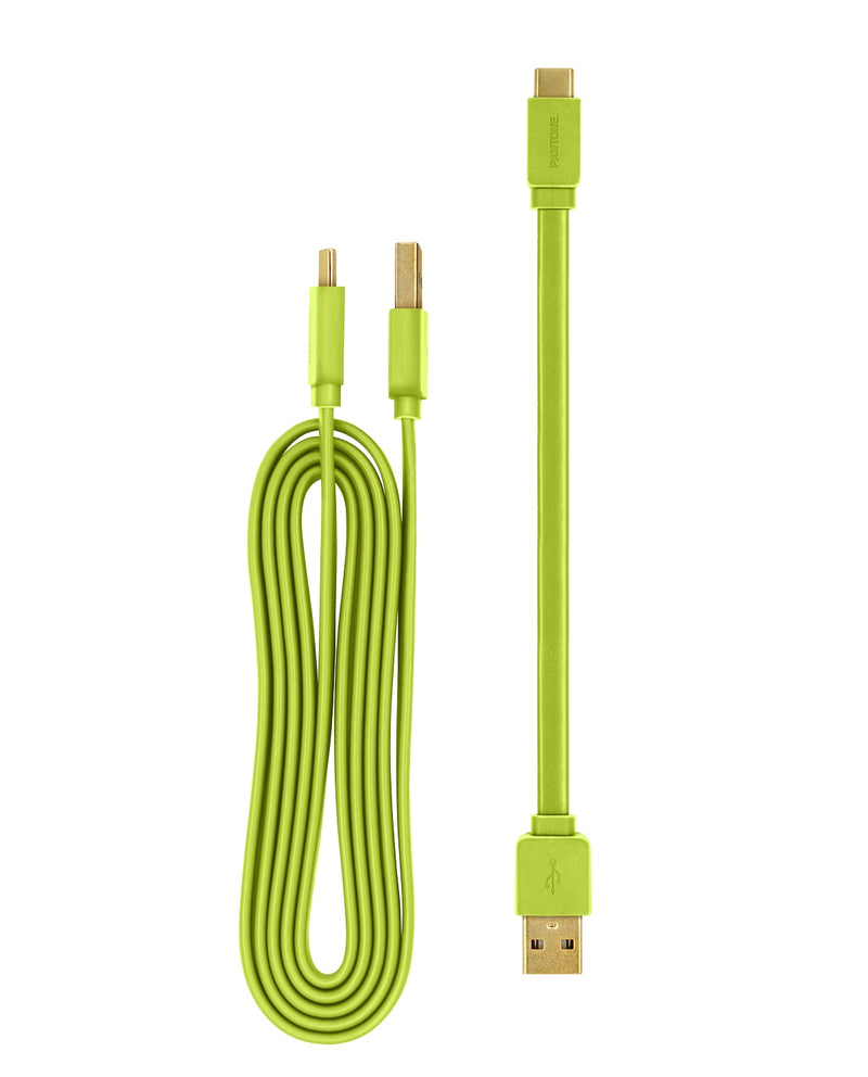 Pantone 20cm + 120cm Gold platted Typc C to Type A 接線