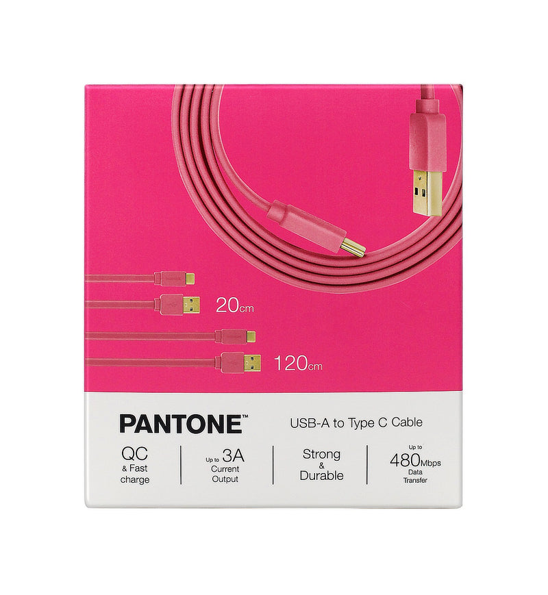 Pantone 20cm + 120cm Gold platted Typc C to Type A 接線