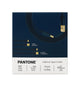 Pantone 20cm + 120cm Gold platted Typc C to Type A 接線