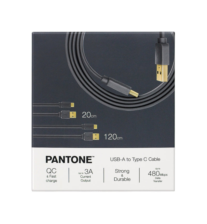 Pantone 20cm + 120cm Gold platted Typc C to Type A 接線