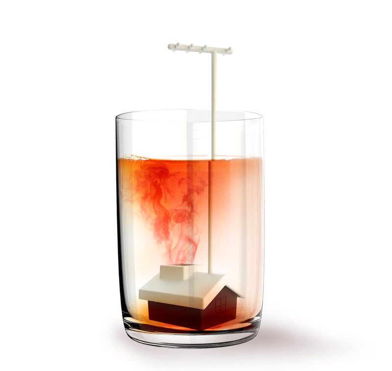 Simple Lab TEA WORKSHOP tea infuser