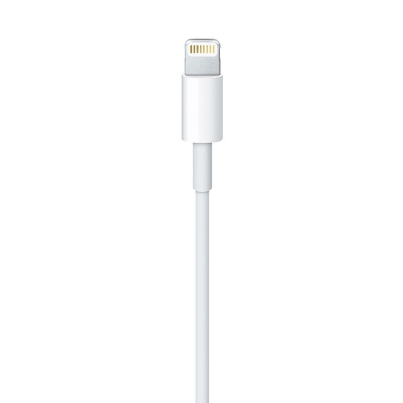 APPLE Lightning 至 USB 連接線 (0.5 米)