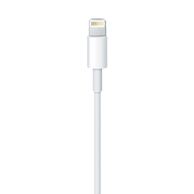 APPLE Lightning to USB Cable (0.5 m)