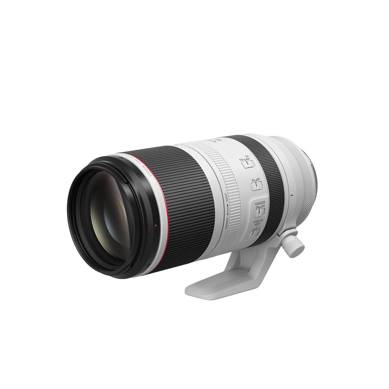 CANON RF 100-500mm f/4.5-7.1L IS USM Lens