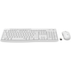 LOGITECH 羅技 MK295 SILENT (Eng Keyboard) 無線滑鼠鍵盤組合