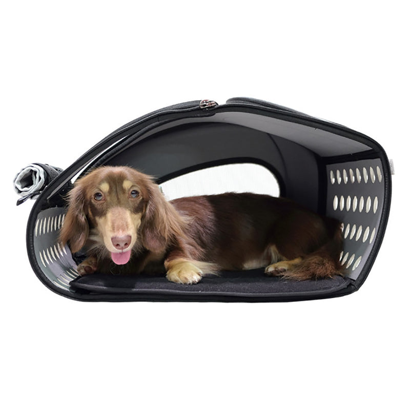 Ibiyaya FC1008 Pet Carrier