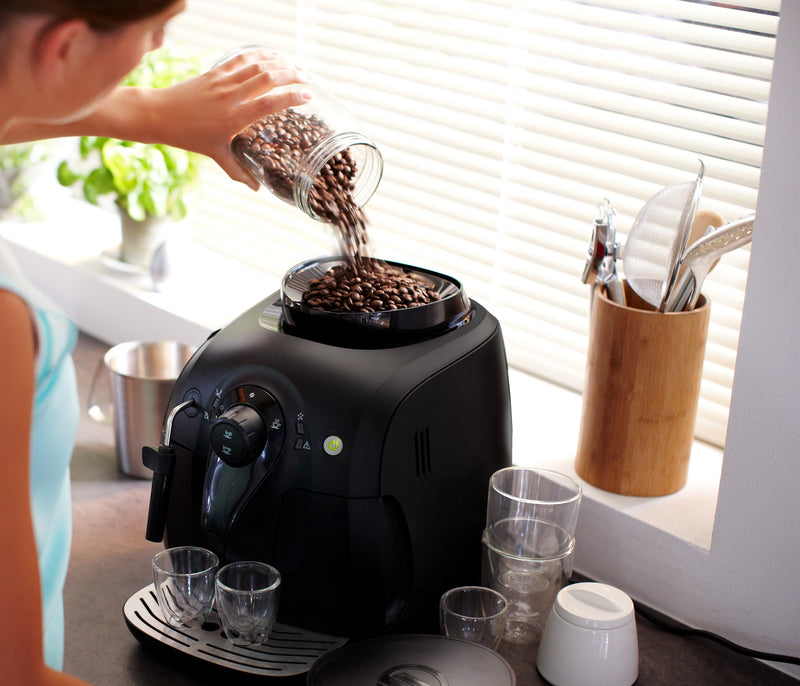 Gaggia Besana RI8180/01 Italian Made Espresso Maker