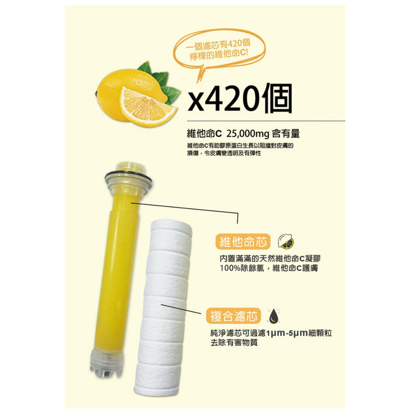 The LOEL 3 pcs Vitamin C Shower Head Filter