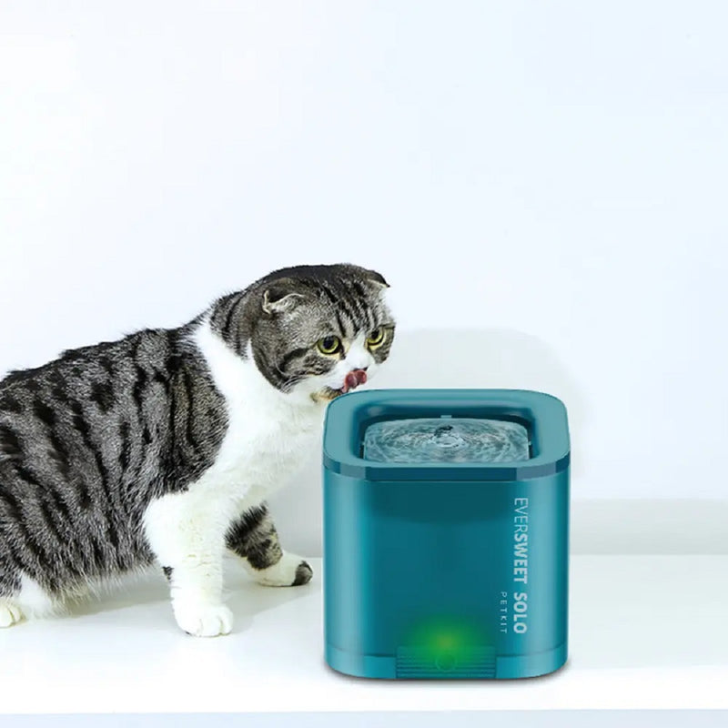 PETKIT Eversweet SOLO Smart Pet Drinking Fountain