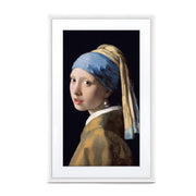 NETGEAR MC327WL MEURAL CANVAS II 27