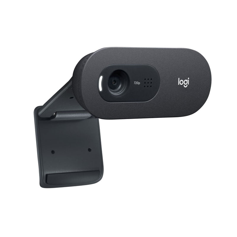 LOGITECH 羅技 C505e HD 網路攝影機