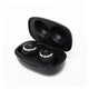 ANIMA ANW01 ACG fan true wireless earphones