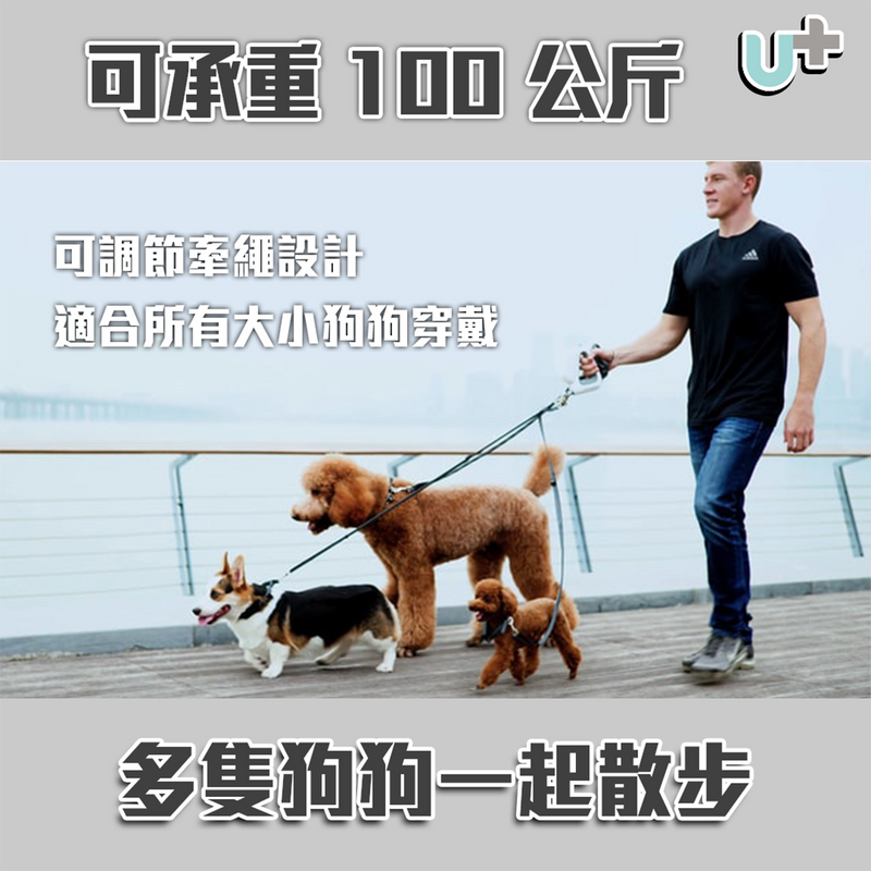 Gogoleash 4合1智慧狗帶
