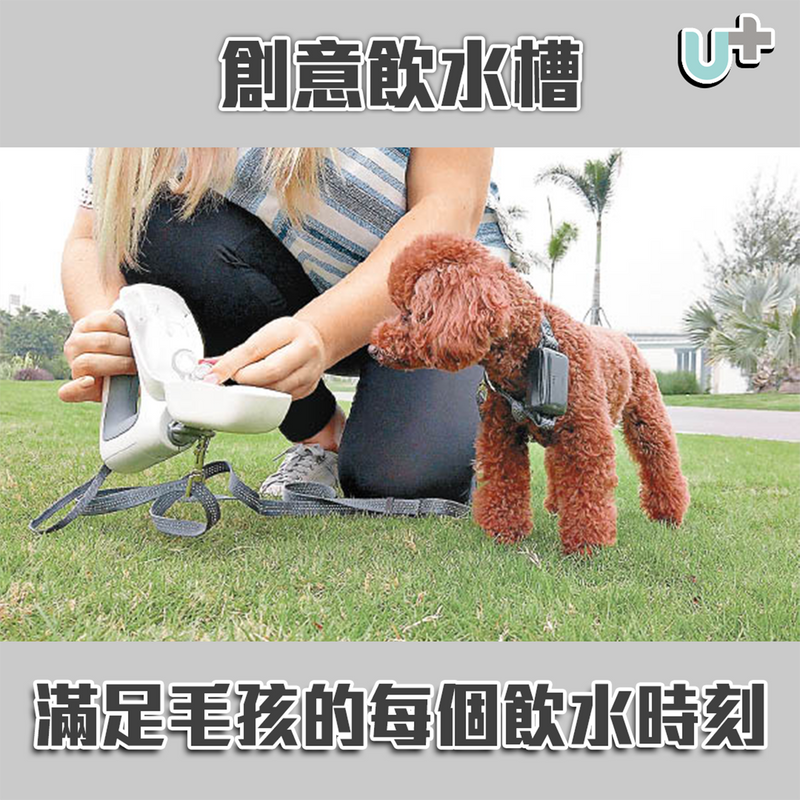 Gogoleash 4合1智慧狗帶