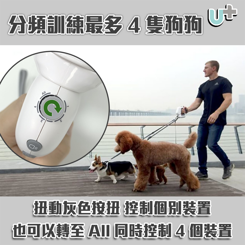 Gogoleash 4 in 1 Smart Dog Belt