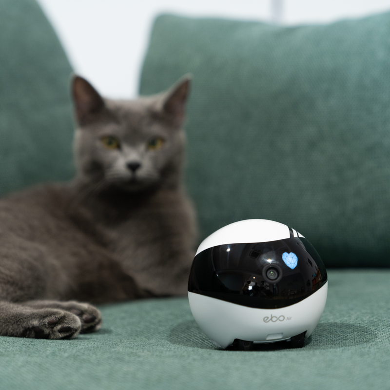 Enabot EBO AIR Smart & Interactive Family Companion Robot