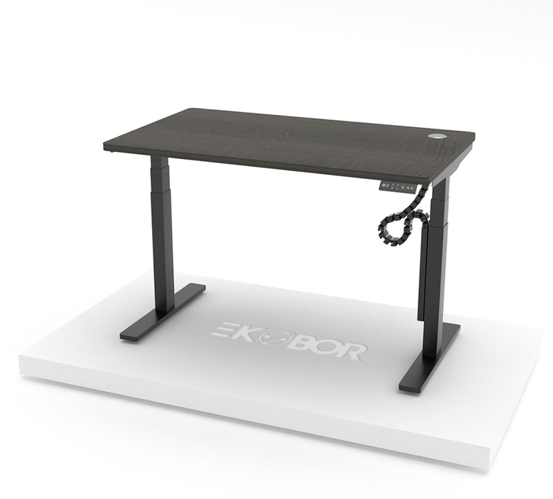 EKOBOR I-EASY Dual motors desk